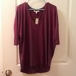 EXPRESS Plush Top